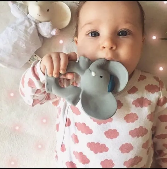 Alvin the Elephant - Organic Natural Rubber Teether