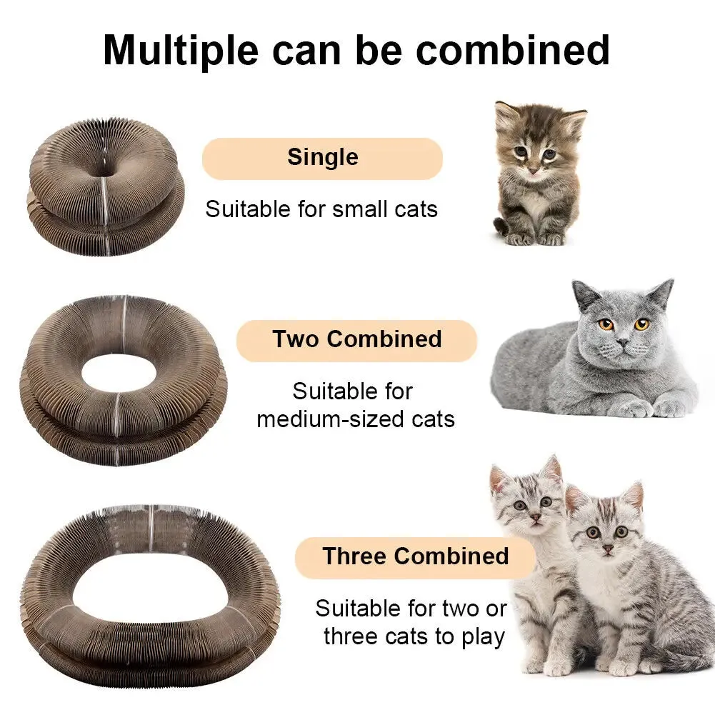 Foldable Cat Scratching Board & Play Bed
