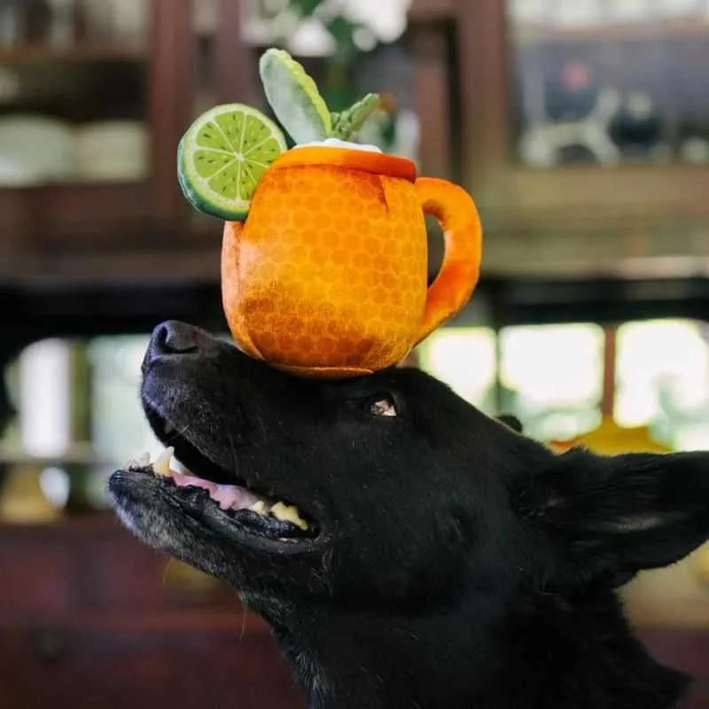 Mospaw Mule Dog Toy
